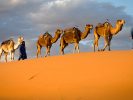 Trek et randonnée au maroc