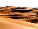 Trek et randonnée au maroc