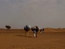 La vallee du draa trek desert maroc