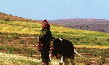 Trek et randonnée au maroc