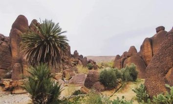 Trek et randonnée au maroc