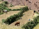 Trek et randonnée au maroc