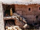 Trek famille haut atlas sentiers berbères et villages du toubkal