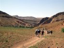 Trekking mgoun
