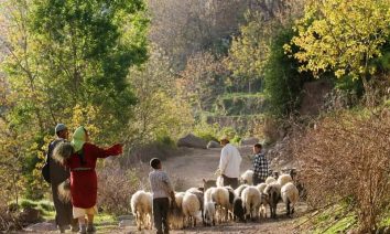 Sentiers berbères et villages du toubkal en famille