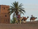 Aventure du desert en famille