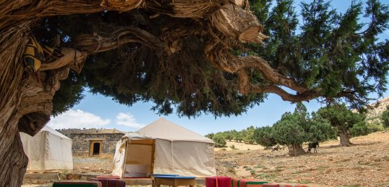 Bivouac. 4