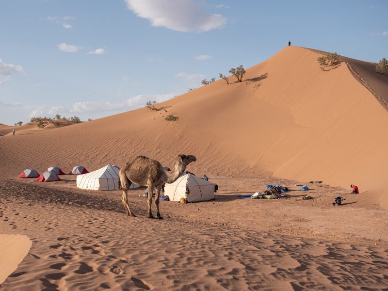 - campagne de nettoyage dans la vallée du draa janvier 2023 6745