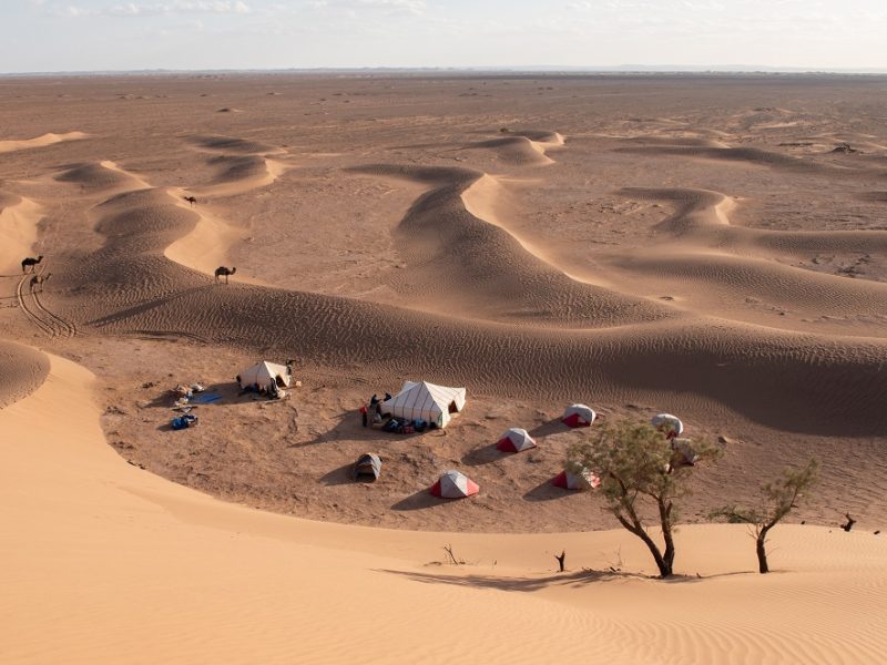 - campagne de nettoyage dans la vallée du draa janvier 2023 6745