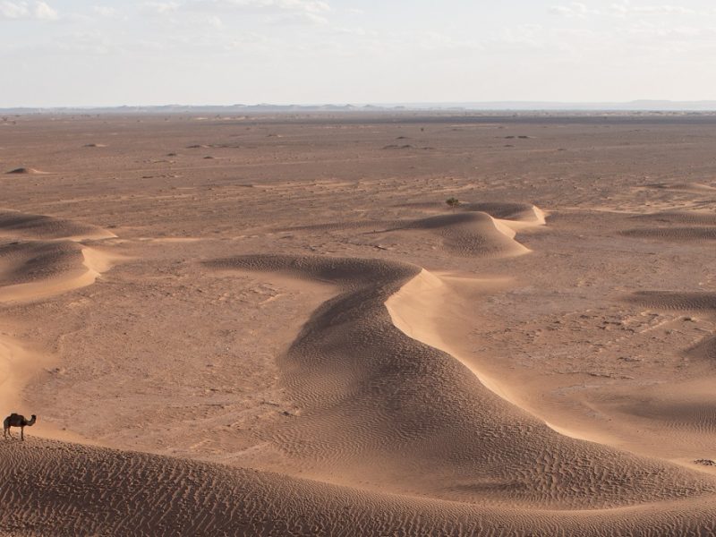 - campagne de nettoyage dans la vallée du draa janvier 2023 6745