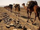 Trek et randonnée au maroc