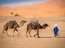 Trek désert maroc sur la trace des caravanes d-autrefois