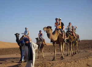 Desert-chameaux - témoignages 2387