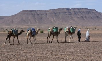 Trek et randonnée au maroc