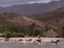 Trek et randonnée au maroc