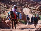 Trek famille maroc sur la piste des kasbahs entre ait benhaddou et telouet