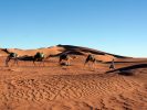 Trek désert maroc sur la trace des caravanes d-autrefois