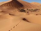 Trek et randonnée au maroc