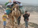 Randonnee famille cote atlantique au maroc