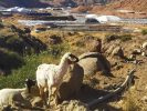 Trek et randonnée au maroc