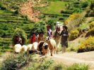Trek et randonnée au maroc