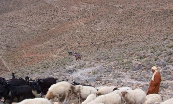 Trek et randonnée au maroc