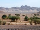 Trek et randonnée au maroc