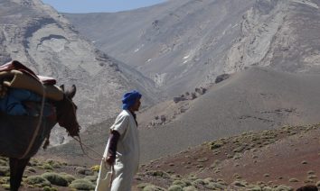Trekking mgoun et rencontrer les berbères transhumants avec leurs troupeaux,