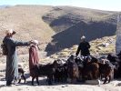 En famille chez les berberes de l'atlas