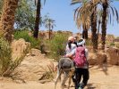 Aventure du desert en famille avec decouverte de la palmeraie de la vallée du draa et du ksar tamnougalte