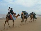 Maroc randonnee famille sur les plages de la cote atlantique au maroc