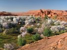 Trek et randonnée au maroc