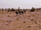 Pistes caravanieres du sud marocain