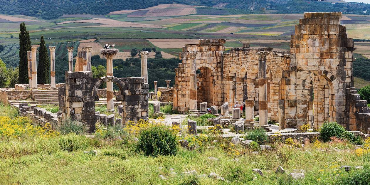 Guide voyage villes marocaines - volubilis l'antique ville romaine et environs de volubilis 8197